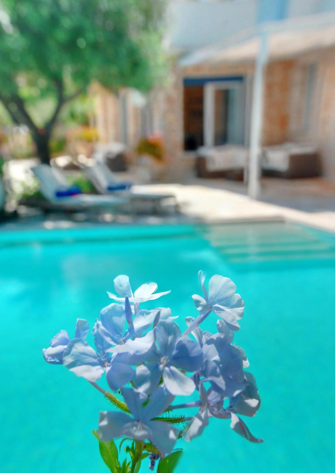 Corfu Luxury Villas Barbati Phòng bức ảnh